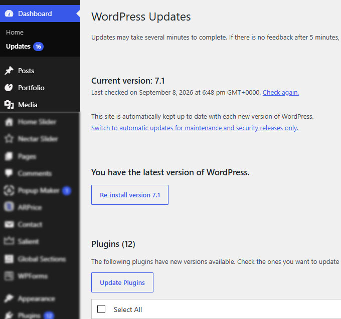wordpress updates digital elevare